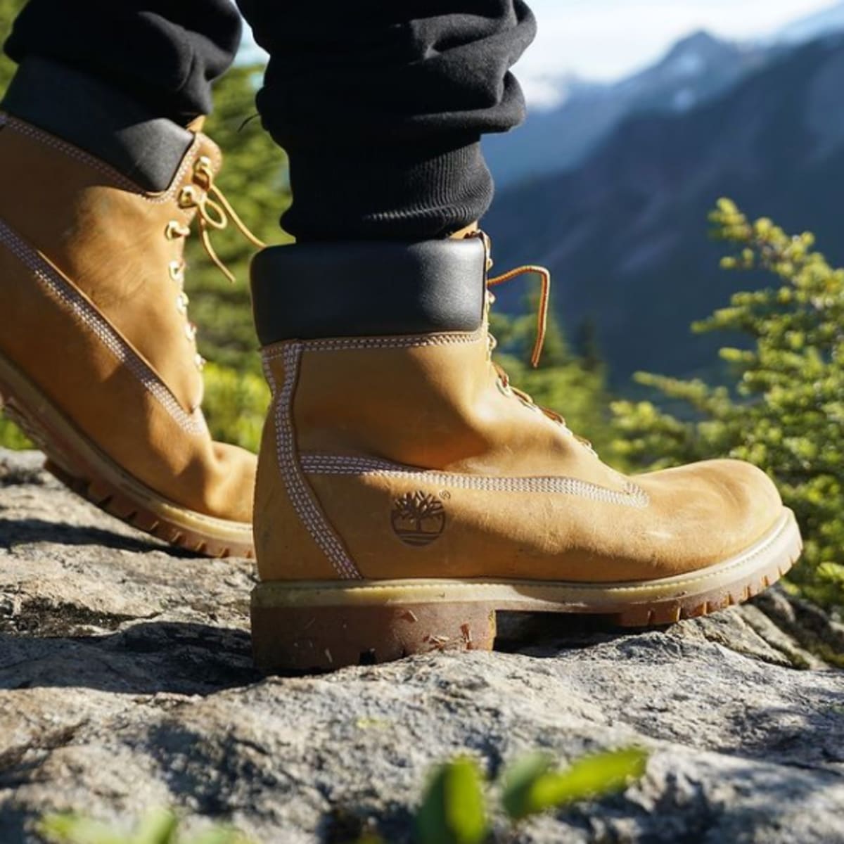 Timbs best sale for hiking