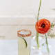 Ingredients:2 parts Plume & Petal Cucumber Splash1 part watermelon juice (or fresh)½ part lime juiceGarnish: lime wheelsDirections: In a large container, combine all liquid ingredients. Stir and refrigerate until chilled. Just before serving, pour into a large punch bowl and stir in ice. Garnish the bowl with floating lime wheels.