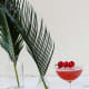 Ingredients: 2 parts Plume & Petal Lemon Drift1 part Chambord Liqueur1 part lemonGarnish: 3 raspberriesGlass: Coupe or MartiniDirections: Add all ingredients to a shaker with ice. Shake and strain into a coupe or Martini cocktail glass
